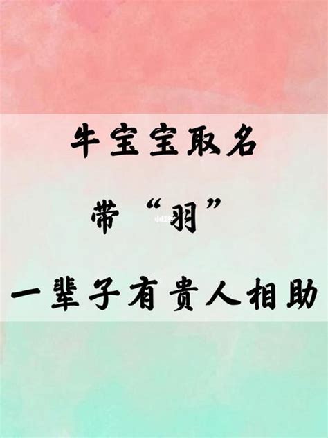 有羽的名字|羽字的名字寓意是什么意思 羽字的意思